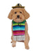 Fiesta Inspired Serape Pet Costume - costumesupercenter.com