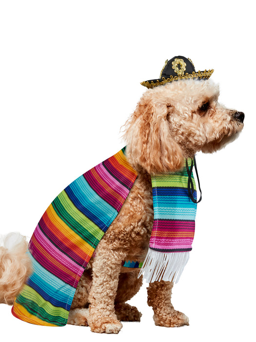 Fiesta Inspired Serape Pet Costume - costumesupercenter.com