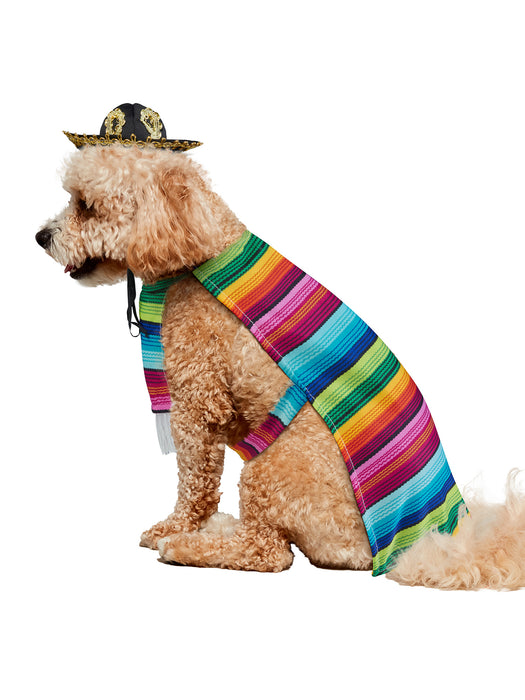 Fiesta Inspired Serape Pet Costume - costumesupercenter.com