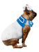 Ghostbusters Stay-Puft Marshmallow Man Pet Costume - costumesupercenter.com