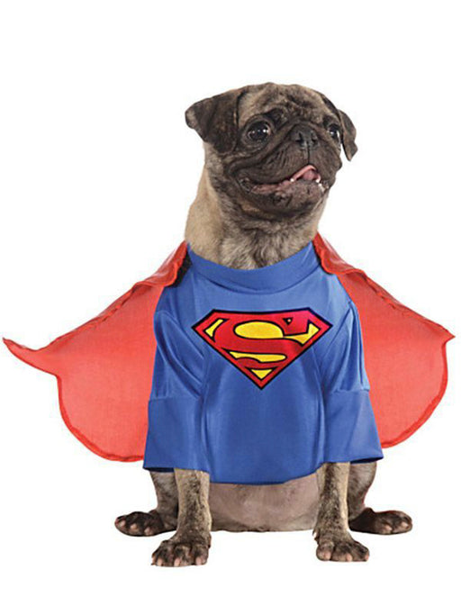 DC Comics Superman Pet Costume - costumesupercenter.com