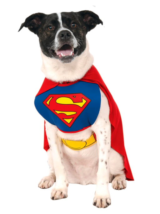 DC Comics Superman Pet Costume - Classic - costumesupercenter.com