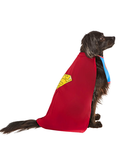 DC Comics Superman Pet Costume - Classic - costumesupercenter.com