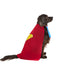 DC Comics Superman Pet Costume - Classic - costumesupercenter.com