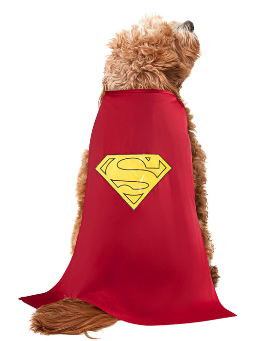 DC Comics Superman Pet Costume - Classic - costumesupercenter.com