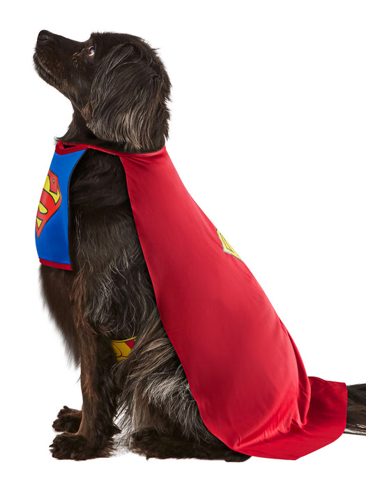 DC Comics Superman Pet Costume - Classic - costumesupercenter.com