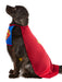 DC Comics Superman Pet Costume - Classic - costumesupercenter.com