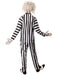 Beetlejuice Deluxe Adult Costume - costumesupercenter.com