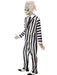 Beetlejuice Deluxe Adult Costume - costumesupercenter.com