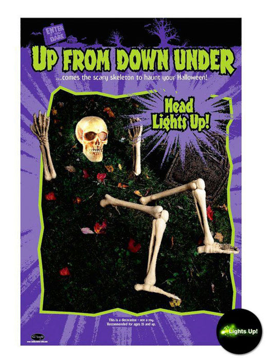 Light-Up Risen from the Grave Skeleton - costumesupercenter.com