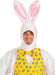 Adult Deluxe Plus Bunny Mascot Costume - costumesupercenter.com
