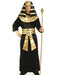 Pharaoh Adult Costume - costumesupercenter.com