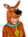 Kids' Scooby-Doo Costume - Deluxe - costumesupercenter.com