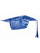 Blue Graduation Adult Cap - costumesupercenter.com