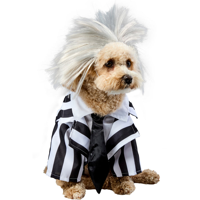 Beetlejuice Beetlejuice Pet Costume - costumesupercenter.com