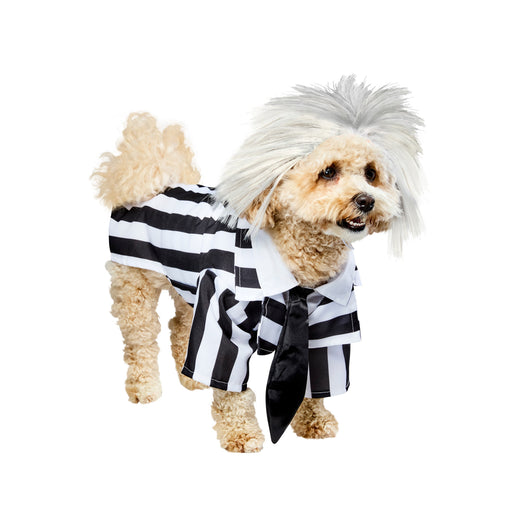 Beetlejuice Beetlejuice Pet Costume - costumesupercenter.com