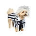 Beetlejuice Beetlejuice Pet Costume - costumesupercenter.com