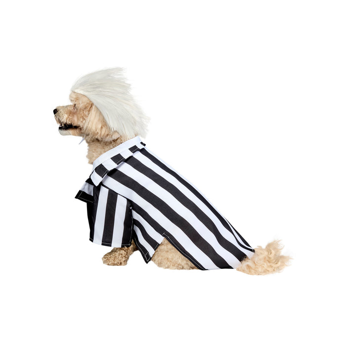 Beetlejuice Beetlejuice Pet Costume - costumesupercenter.com