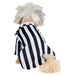Beetlejuice Beetlejuice Pet Costume - costumesupercenter.com