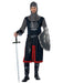 Dragon Knight Mens Costume - costumesupercenter.com