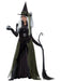 Gothic Witch Costume for Women - costumesupercenter.com