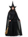 Women's Wicked Witch Costume - costumesupercenter.com
