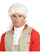 Samuel Adams Wig Accessory - costumesupercenter.com