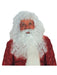 Adult Professional Santa Wig and Beard Set - costumesupercenter.com