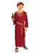 Burgundy Wiseman Child Costume - costumesupercenter.com