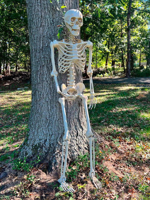 60-inch Posable Skeleton - costumesupercenter.com