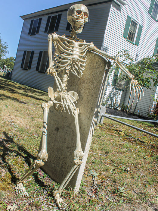 60" Posable Skeleton - costumesupercenter.com
