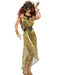 Womens Gold Toga Long Dress - costumesupercenter.com