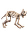 15-inch Spooky Skeleton Cat - costumesupercenter.com