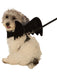 Bat Harness Halloween Cosutme for Pets - costumesupercenter.com