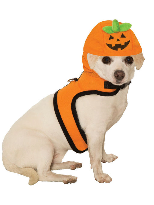 Pet's Jack-A-Lantern Halloween Costume - costumesupercenter.com