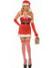 Womens Sexy Santa's Sugar Costume - costumesupercenter.com