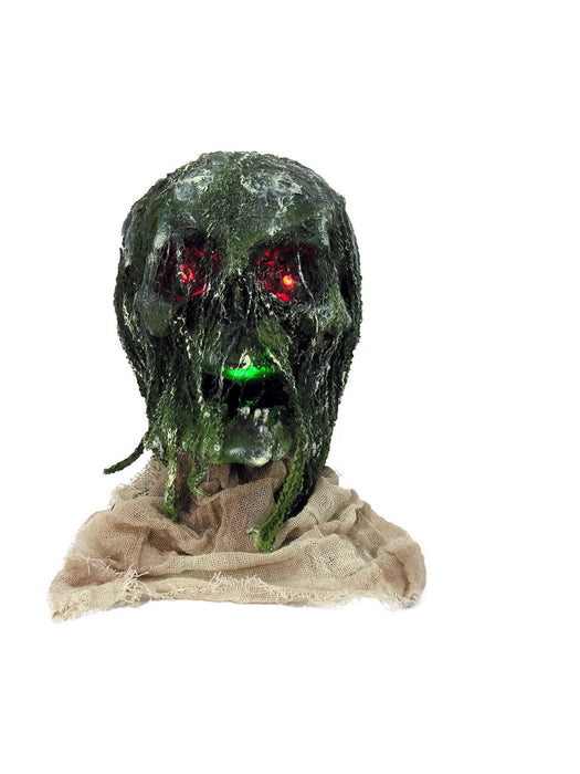 Rotten Light Up Skull with Base - costumesupercenter.com