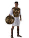 Shield and Chest Plate Spartan Set - costumesupercenter.com