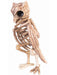 Skeletal Owl Prop - costumesupercenter.com