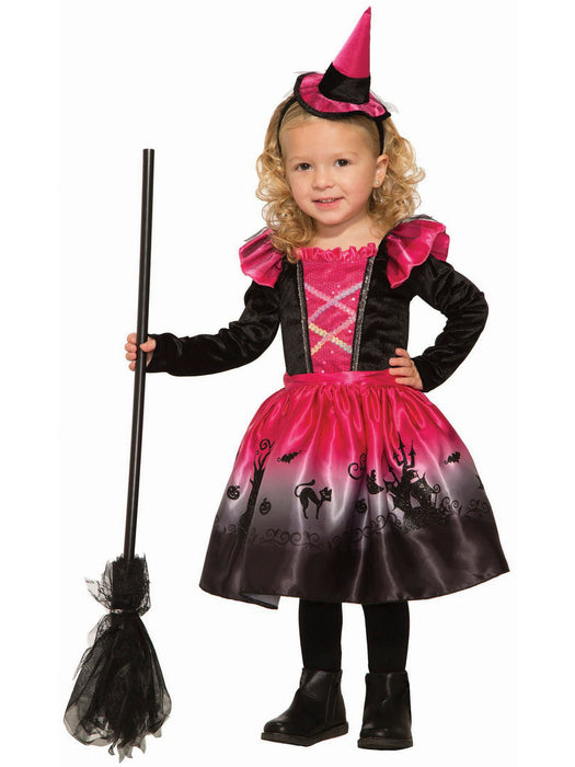 Baby/Toddler Deluxe Spooky Witch Costume - costumesupercenter.com
