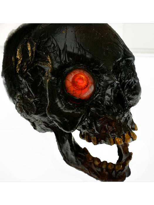 Creepy Rotten Head Decoration - costumesupercenter.com