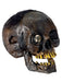 Creepy Rotten Head Decoration - costumesupercenter.com