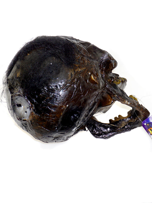 Creepy Rotten Head Decoration - costumesupercenter.com