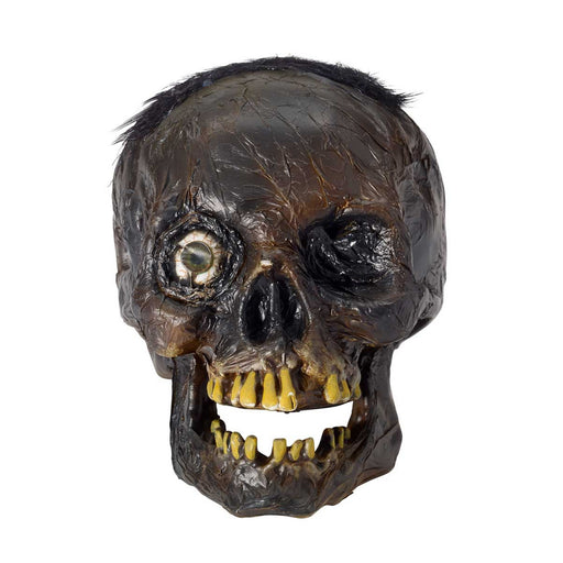 Creepy Rotten Head Decoration - costumesupercenter.com