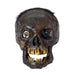 Creepy Rotten Head Decoration - costumesupercenter.com