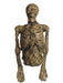 Large Rotting Skeleton Torso Prop - costumesupercenter.com