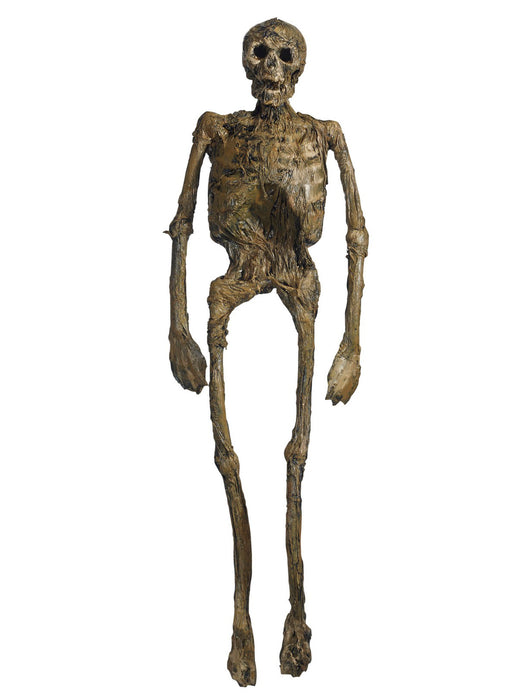 60" Rotting Skeleton Full Body Prop - costumesupercenter.com