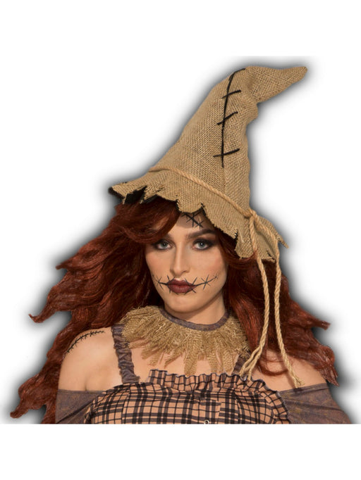 Scarecrow Hat Accessory - costumesupercenter.com