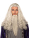 Wise Wizard Wig & Beard - White - costumesupercenter.com