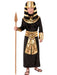Pharaoh Child Costume - costumesupercenter.com